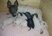 Enlarge photo 10