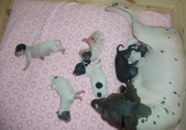Enlarge photo 3
