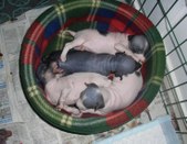 Enlarge photo 15