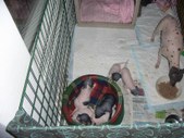 Enlarge photo 16