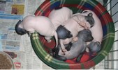 Enlarge photo 17
