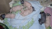 Enlarge photo 23