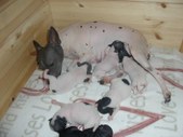 Enlarge photo 7