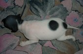 Enlarge photo 6