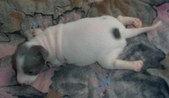 Enlarge photo 6