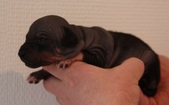 Enlarge photo 1