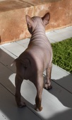 Enlarge photo 6