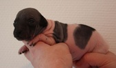 Enlarge photo 1