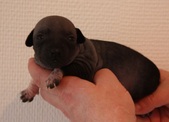 Enlarge photo 1