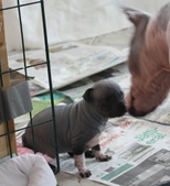 Enlarge photo 3
