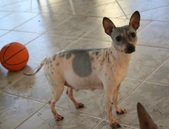 Enlarge photo 9