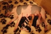 Enlarge photo 12