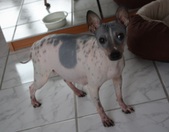 Enlarge photo 11