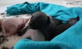 Enlarge photo 23