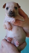 Enlarge photo 4