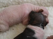 Enlarge photo 1