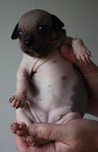 Enlarge photo 3