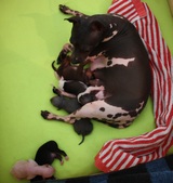 Enlarge photo 11