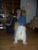 Enlarge photo 13