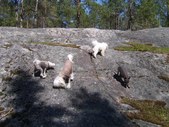 Enlarge photo 22