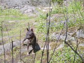 Enlarge photo 24