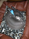 Enlarge photo 17