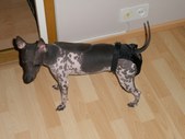 Enlarge photo 23