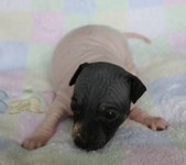 Enlarge photo 9