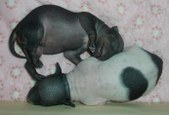 Enlarge photo 10