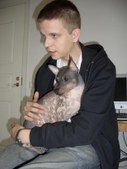 Enlarge photo 3