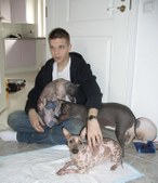 Enlarge photo 14