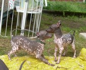 Enlarge photo 22