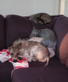 Enlarge photo 11