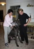 Enlarge photo 12