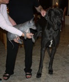Enlarge photo 13