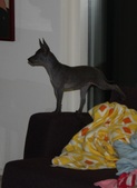 Enlarge photo 5