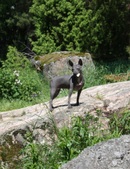 Enlarge photo 22