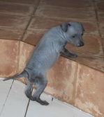 Enlarge photo 10