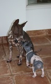 Enlarge photo 15