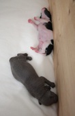 Enlarge photo 14