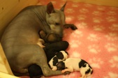 Enlarge photo 12