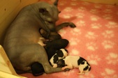 Enlarge photo 13