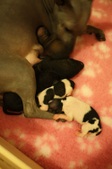 Enlarge photo 14