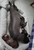 Enlarge photo 22