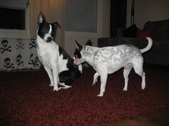 Enlarge photo 22