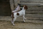 Enlarge photo 6