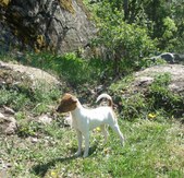 Enlarge photo 11