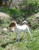 Enlarge photo 12