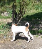 Enlarge photo 13