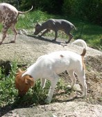 Enlarge photo 17